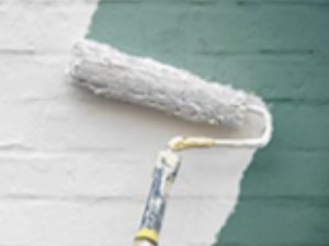 Pintura plástica interior-exterior