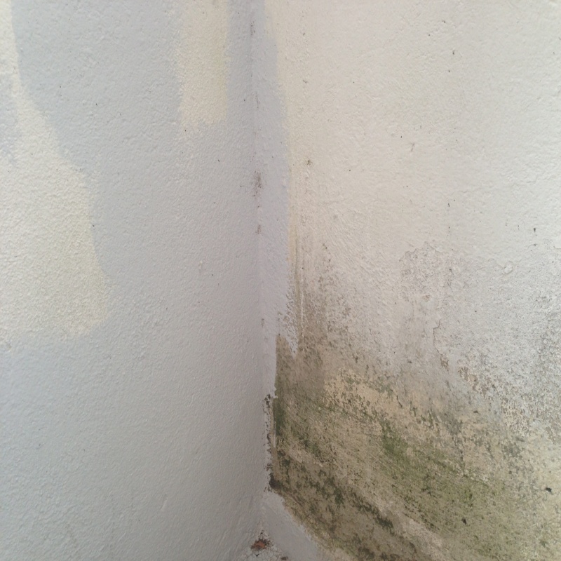 carga aditivo antimoho-maestros pintores málaga